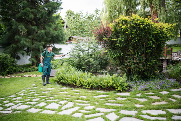 Reliable White House, TN Pest Control Solutions