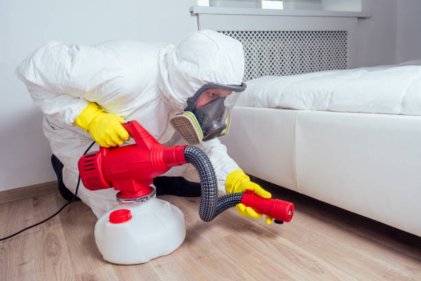 Best Local Pest Control Services  in White House, TN