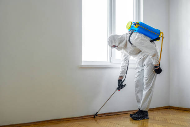 Best Mosquito Control Services  in White House, TN